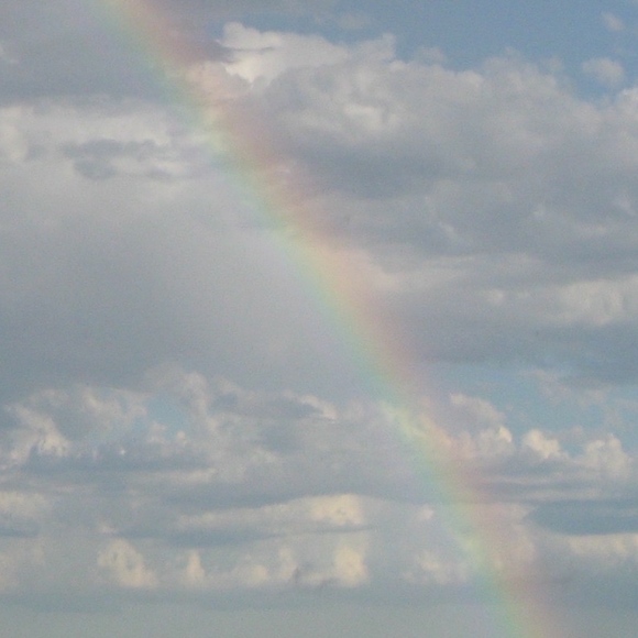 Meet your Posher, Tabitha - Picture 1 of 2